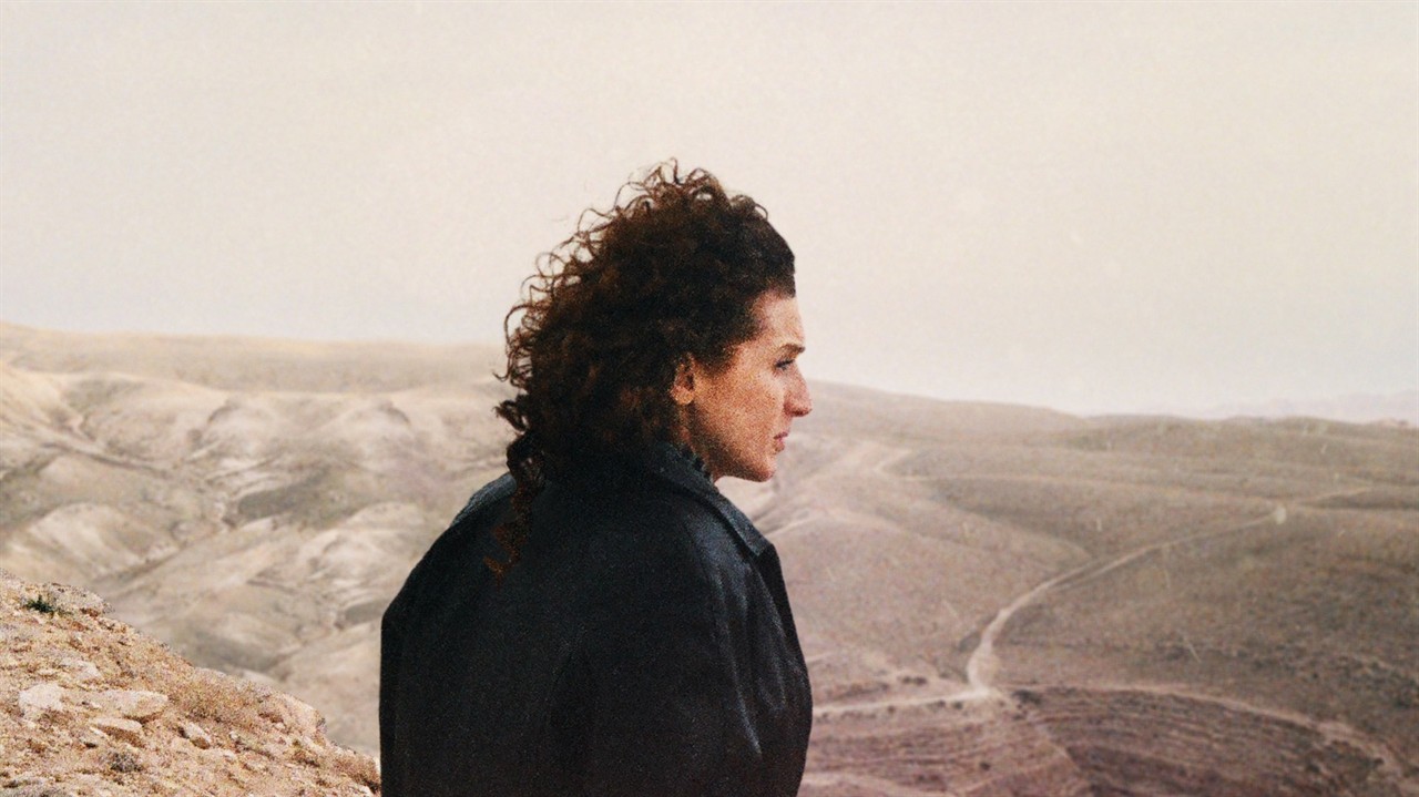 A person stands overlooking a canyon